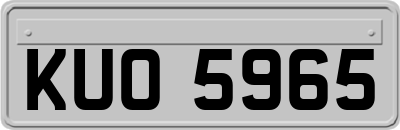 KUO5965