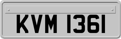 KVM1361
