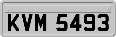 KVM5493
