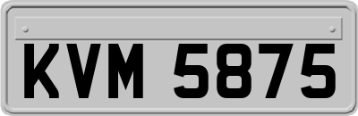 KVM5875