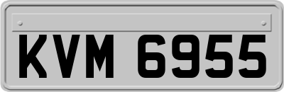 KVM6955