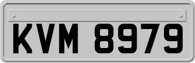 KVM8979
