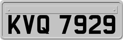 KVQ7929