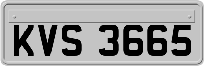 KVS3665