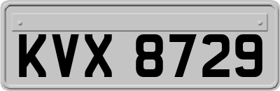 KVX8729