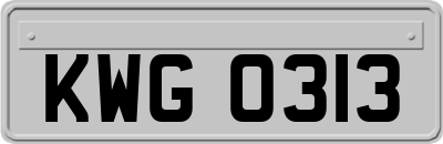 KWG0313