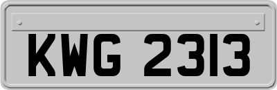 KWG2313
