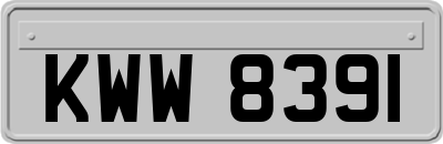 KWW8391