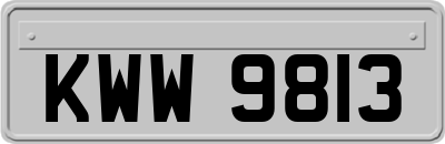 KWW9813
