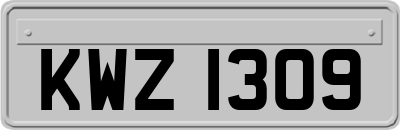 KWZ1309