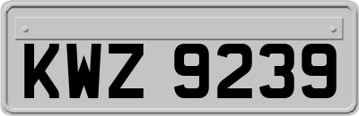 KWZ9239