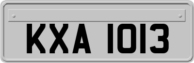 KXA1013