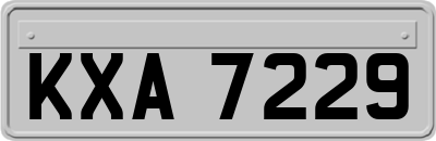 KXA7229