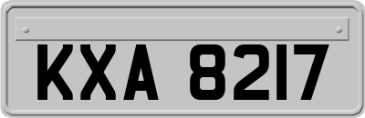 KXA8217