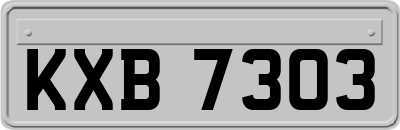 KXB7303