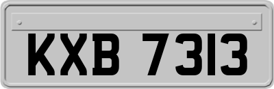 KXB7313