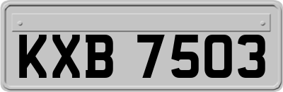KXB7503