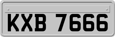 KXB7666