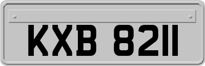 KXB8211