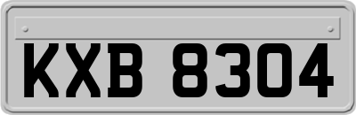 KXB8304