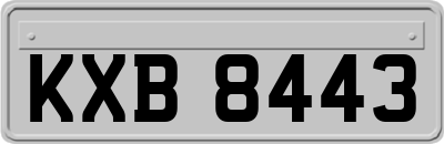 KXB8443