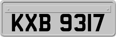 KXB9317