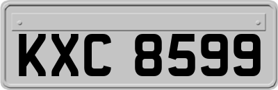 KXC8599
