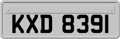 KXD8391