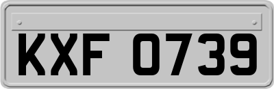 KXF0739