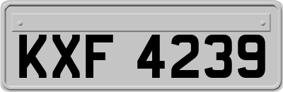 KXF4239