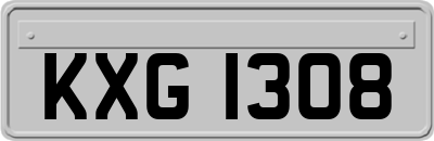 KXG1308