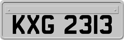 KXG2313