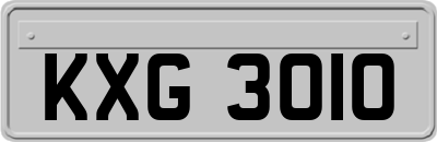 KXG3010