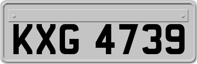 KXG4739