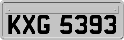 KXG5393