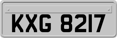KXG8217