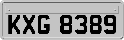 KXG8389