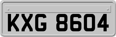KXG8604