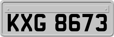 KXG8673