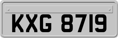 KXG8719