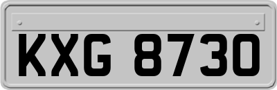 KXG8730