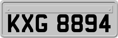 KXG8894