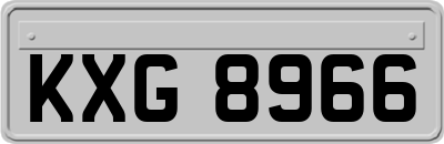 KXG8966