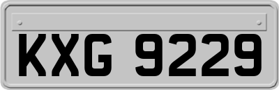 KXG9229