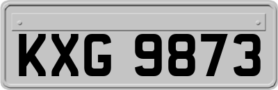 KXG9873