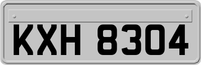 KXH8304