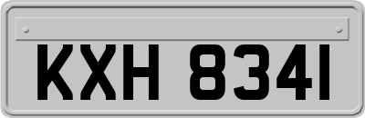 KXH8341