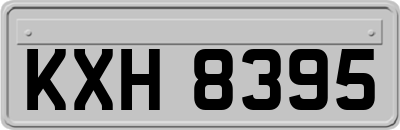 KXH8395