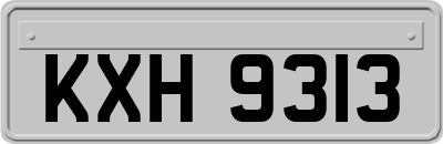 KXH9313
