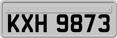 KXH9873